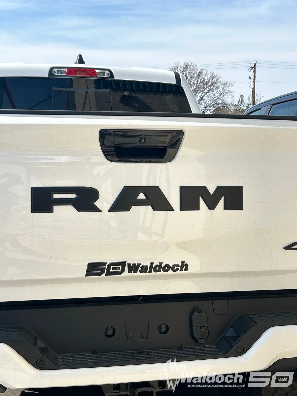 1.55" X 11.8" WALDOCH SL24 LOGO 3D CHROME / -3361 DK GRAPHITE / -55 BLACK / SATIN CLEARCOAT