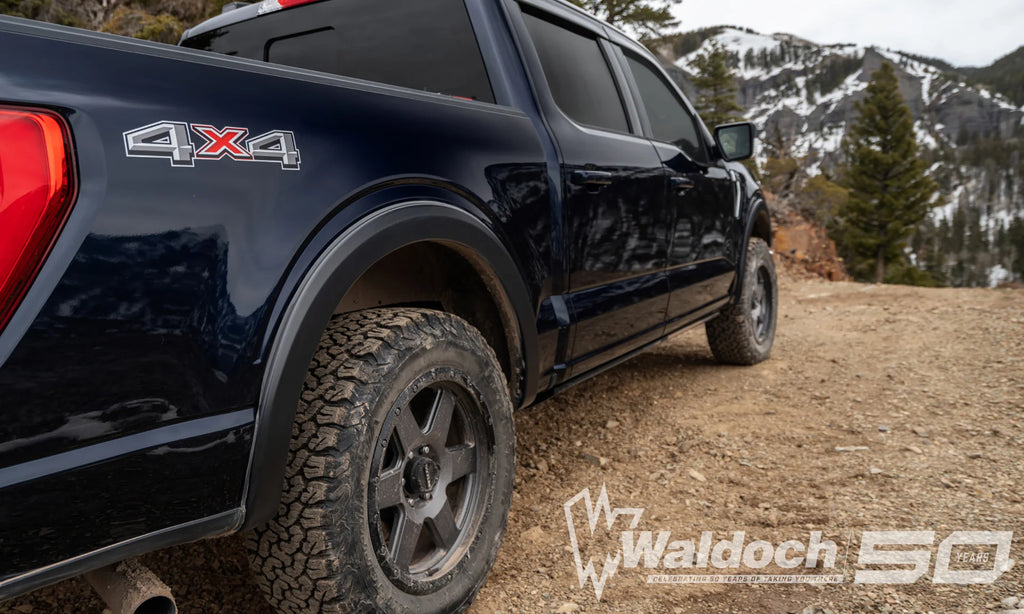 Fender Flares OE-Style 2Pc Rear