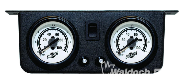 Dual Gauge Panel Assembly