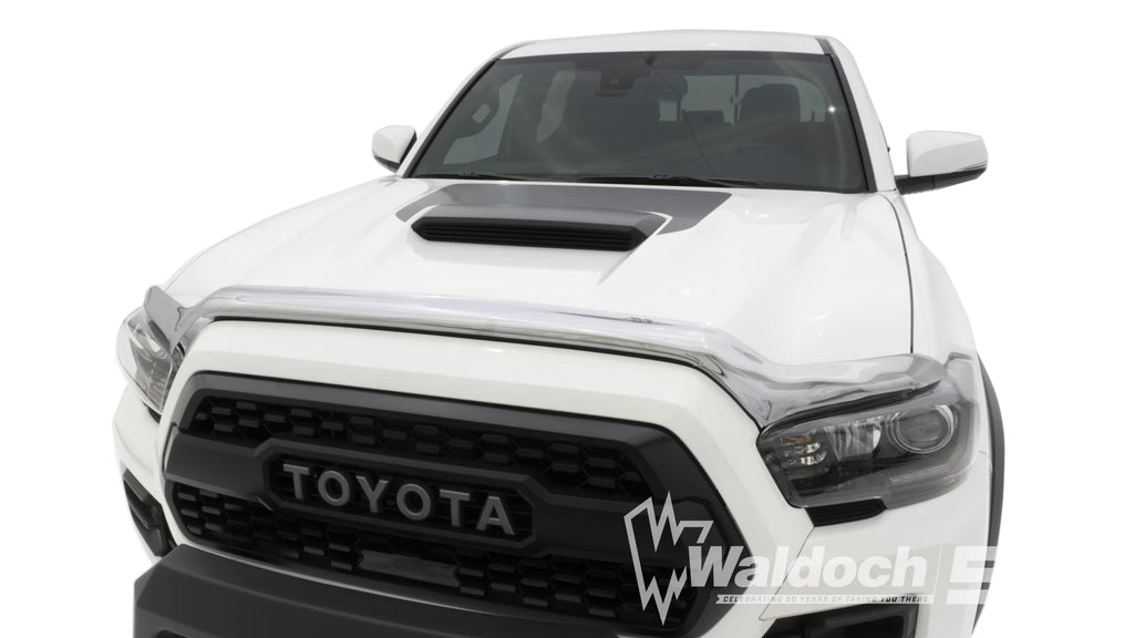 Chrome Hood Shield