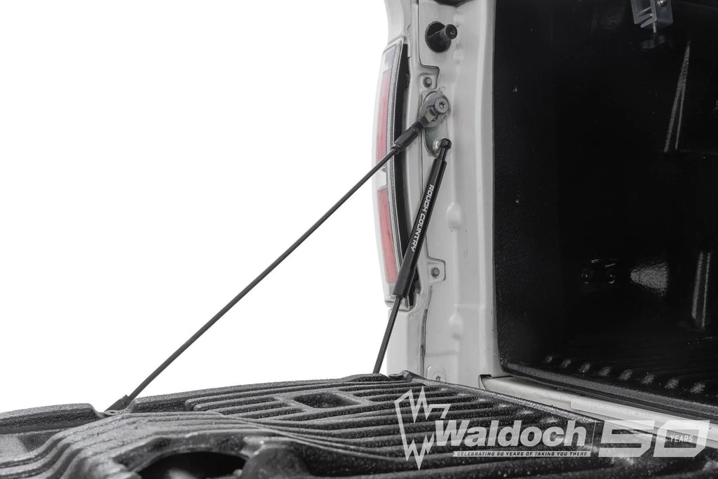 Tailgate Assist | Ford F-150 2WD/4WD (2004-2014)