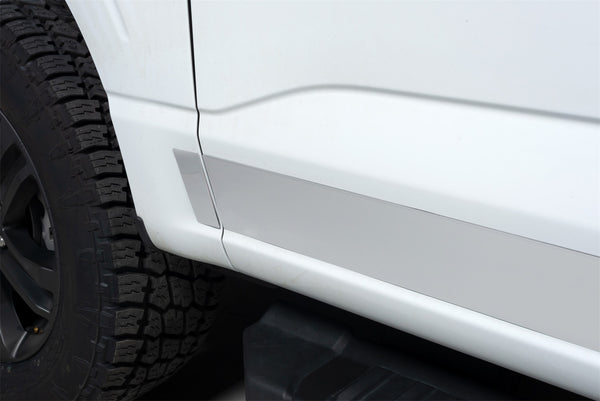 Stainless Steel Rocker Panels-Ford F-150 Reg Cab 6.5 ft Standard Box (4.25" tall, 10 Pieces)