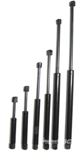 17" 55;B TOPPER DOOR STRUT