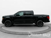 2024 FORD F150 XLT CREW 5.5' BOX 3.5L ECOBOOST AGATE BLACK (UM) BLACK CLOTH INTERIOR