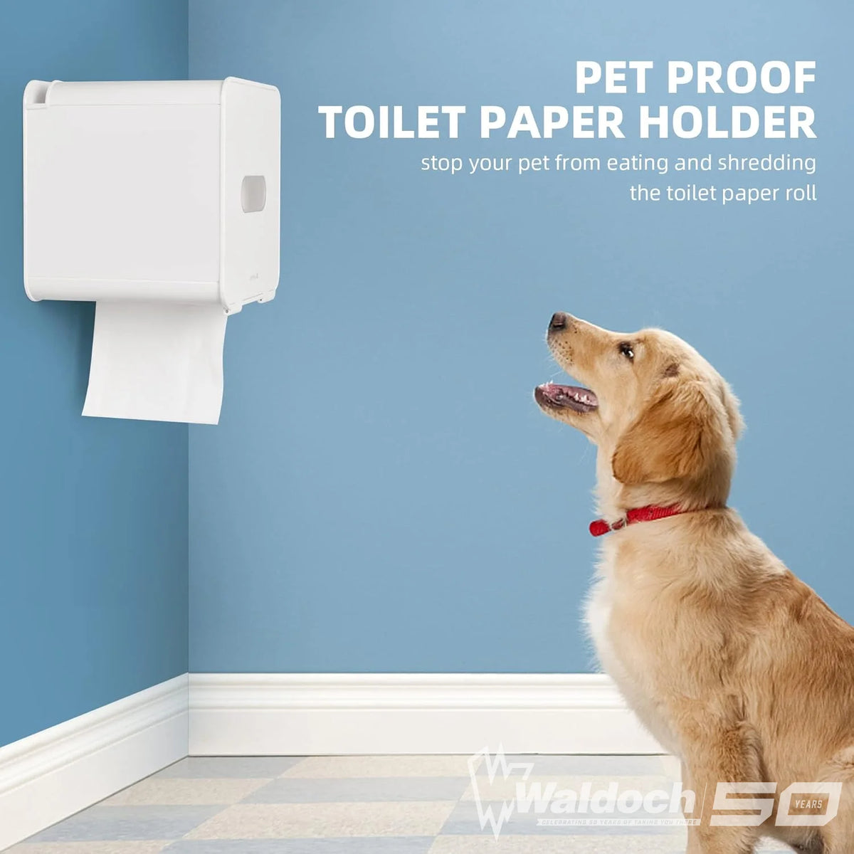 JOMOLA Pet Proof Toilet Paper Holder Adhesive Roll Toilet Paper Dispenser with Phone Shelf Wall Mounted Toilet Tissue Holder White (CABANA)