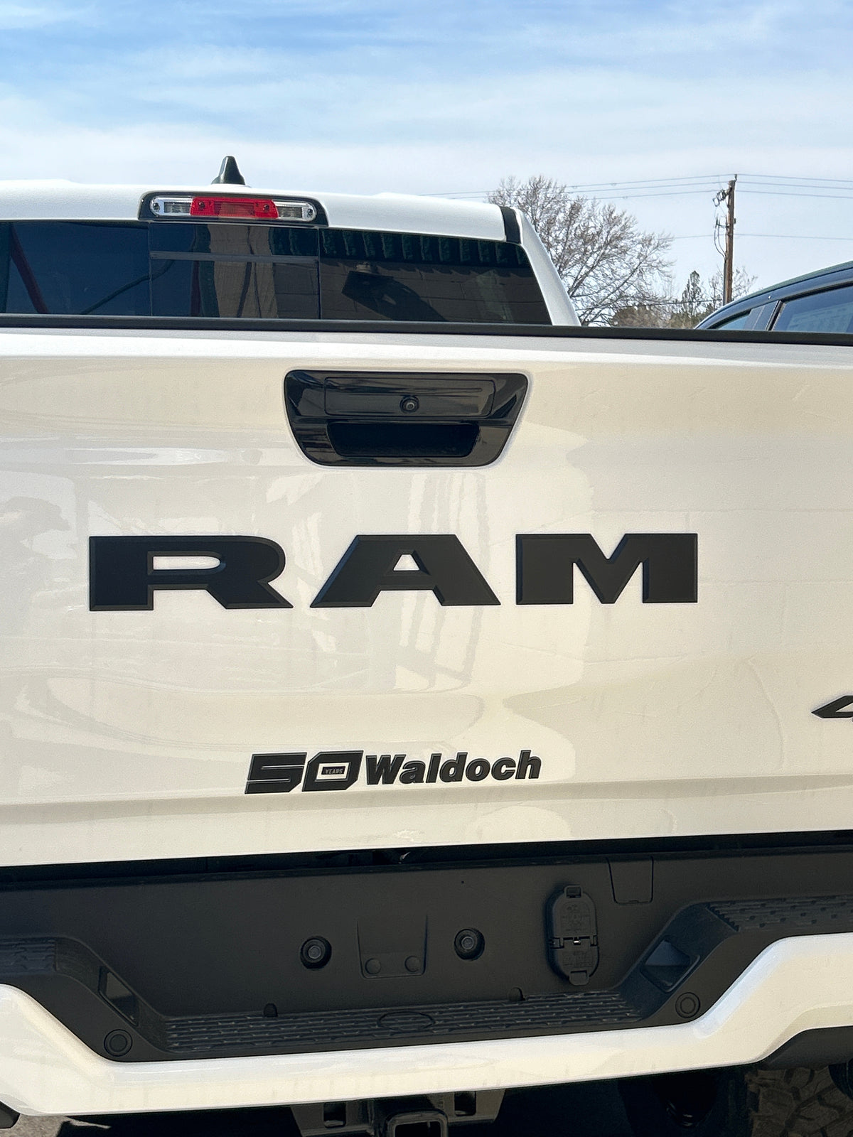 1.55" X 11.8" WALDOCH SL24 LOGO 3D CHROME / -3361 DK GRAPHITE / -55 BLACK / SATIN CLEARCOAT
